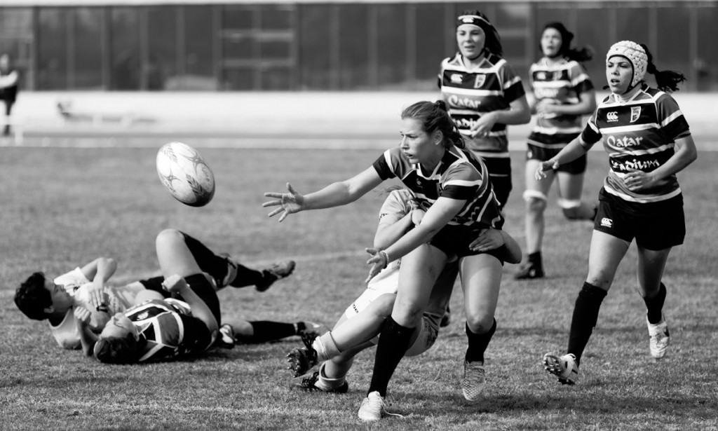 Sumo graece quidam eapro ancillae